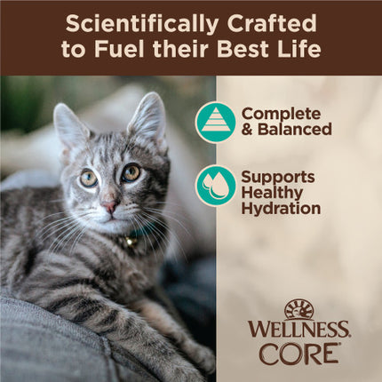 Tiny Tasters Wet Cat Food Pouches