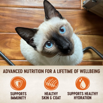 Wellness CORE Tiny Tasters Grain Free Pate Chicken Recipe Wet Cat Food Pouches