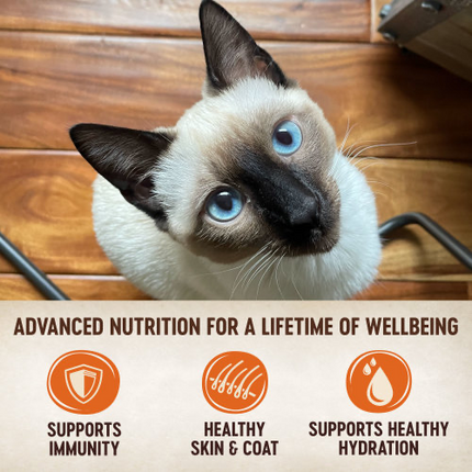 Tiny Tasters Wet Cat Food Pouches