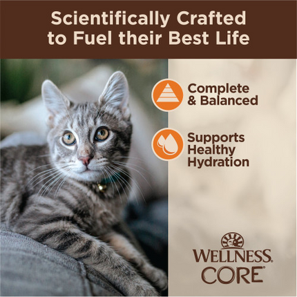 Tiny Tasters Wet Cat Food Pouches