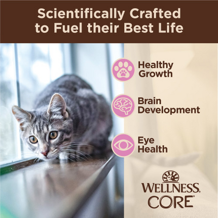 Wellness CORE Tiny Tasters Kitten Pate Chicken Recipe in Sauce Wet Cat Food Pouches