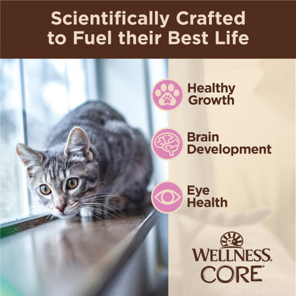 Wellness CORE Tiny Tasters kitten food key points