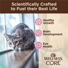 Wellness CORE Tiny Tasters kitten food key points