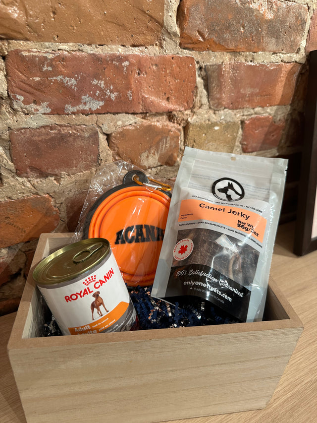 Mattie's Place - $10 Bundle