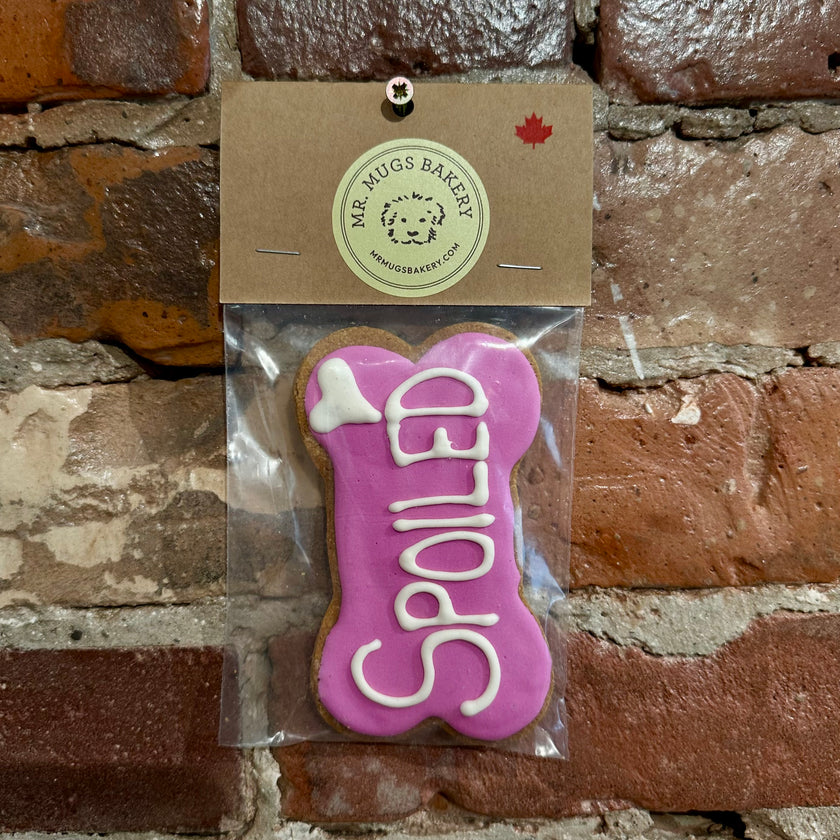 Mr. Mugs Bakery - Iced Dog Treats - Large