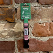 Bamboo Zoom Eco-Friendly Bamboo Collar - Pink
