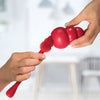 Classic Kong Clean Brush