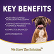 Zignature Kangaroo Formula Dog Food 4lb