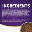Zignature Kangaroo Formula Dog Food 4lb