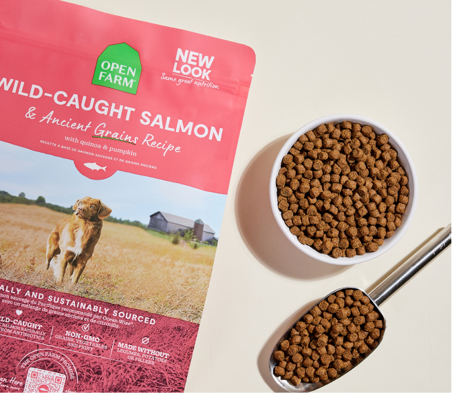 Open Farm Wild-Caught Salmon & Ancient Grains Dry Dog Food (22lb)