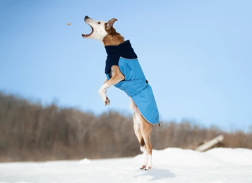 Chilly Dogs - Great White North Winter Dog Coat