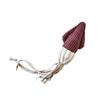 Lambwolf Collective – Plush Squimbleton Toy