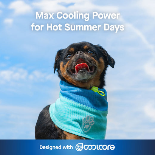 Canada Pooch Max Chill Cooling Snood