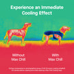 Canada Pooch Max Chill Cooling Snood