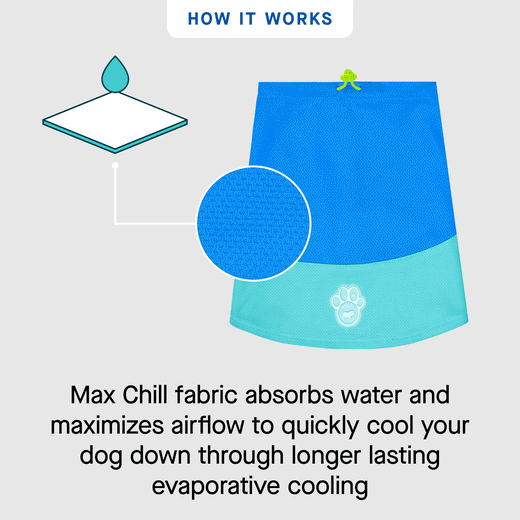 Canada Pooch Max Chill Cooling Snood