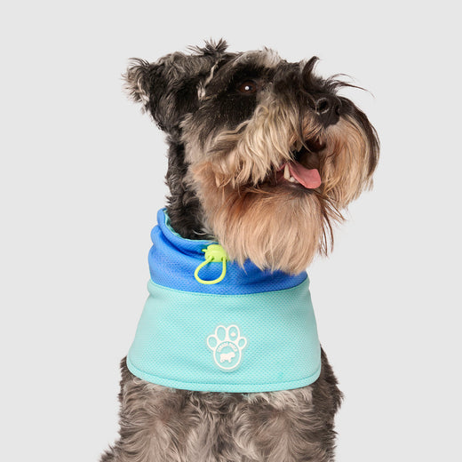 Canada Pooch Max Chill Cooling Snood