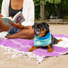 Canada Pooch Max Chill Cooling Snood