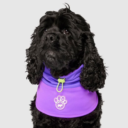 Canada Pooch Max Chill Cooling Snood