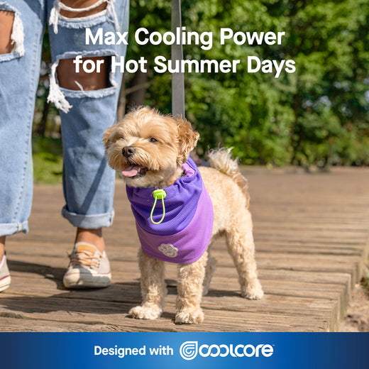 Canada Pooch Max Chill Cooling Snood
