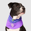 Canada Pooch Max Chill Cooling Snood