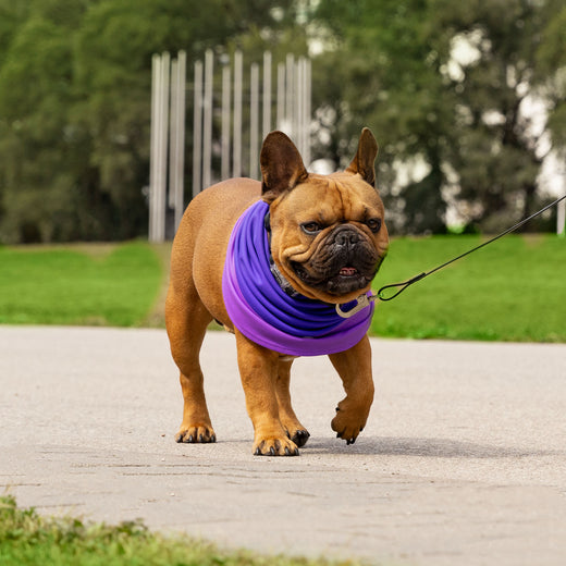 Canada Pooch Max Chill Cooling Snood