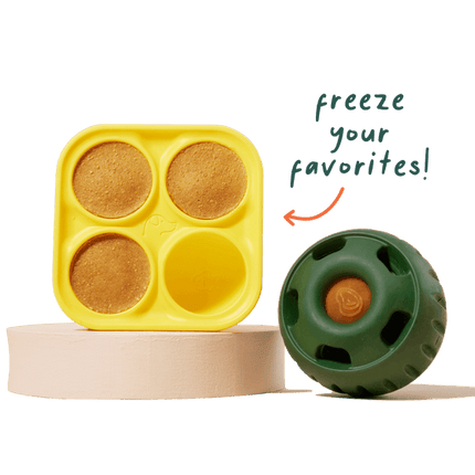 Woof Pupsicle - DIY Treat Tray
