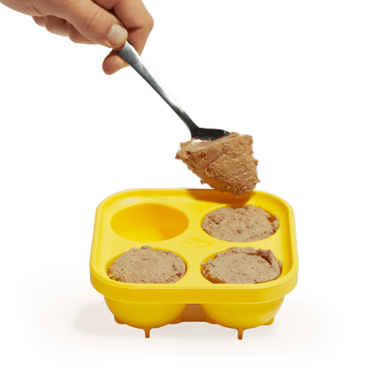 Woof Pupsicle - DIY Treat Tray