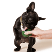 Woof Pupsicle - DIY Treat Tray