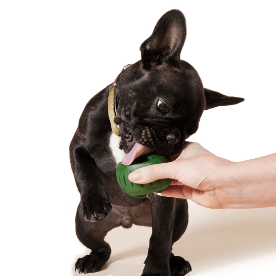 Woof Pupsicle - DIY Treat Tray