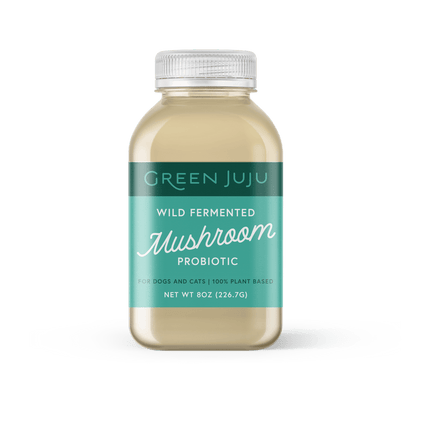 Green Juju Wild Fermented Mushroom Probiotic