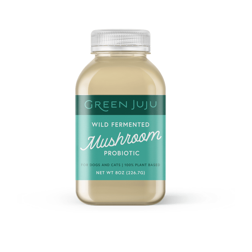 Green Juju Wild Fermented Mushroom Probiotic