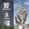 Orijen Guardian 8 Senior Cat Food 