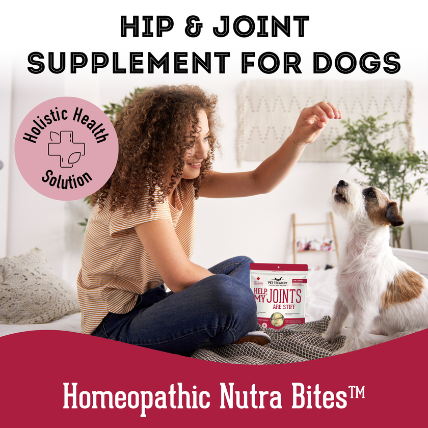 Granville Island Pet Treatery Help My Joints Are Stiff Dog Treats - Hip & Joint Support Supplement Formula