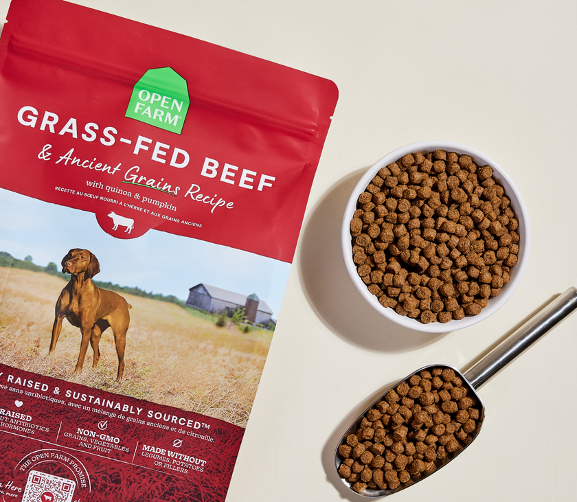 Open Farm Grass-Fed Beef & Ancient Grains Dry Dog Food (22lb)