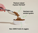 Open Farm Grass-Fed Beef & Ancient Grains Dry Dog Food - 22lb