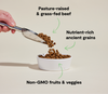 Open Farm Grass-Fed Beef & Ancient Grains Dry Dog Food - 22lb