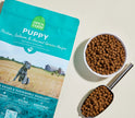 Open Farm Ancient Grains High-Protein Puppy Food (22lb)