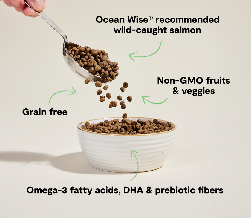 Open Farm - Wild-Caught Salmon Dry Cat Food (8lb)