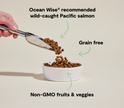 Open Farm Wild-Caught Salmon Grain-Free Dry Dog Food - High-Protein Ocean-Caught Recipe - 4lb