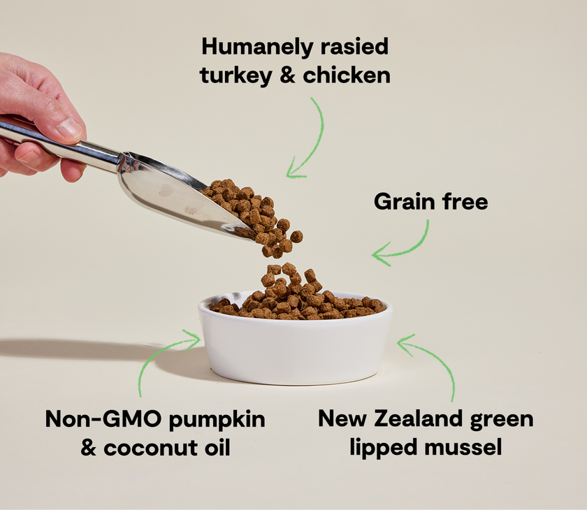 Open Farm Senior Grain-Free Dry Dog Food for Senior Dogs - High-Protein Chicken & Turkey Recipe - 4lb