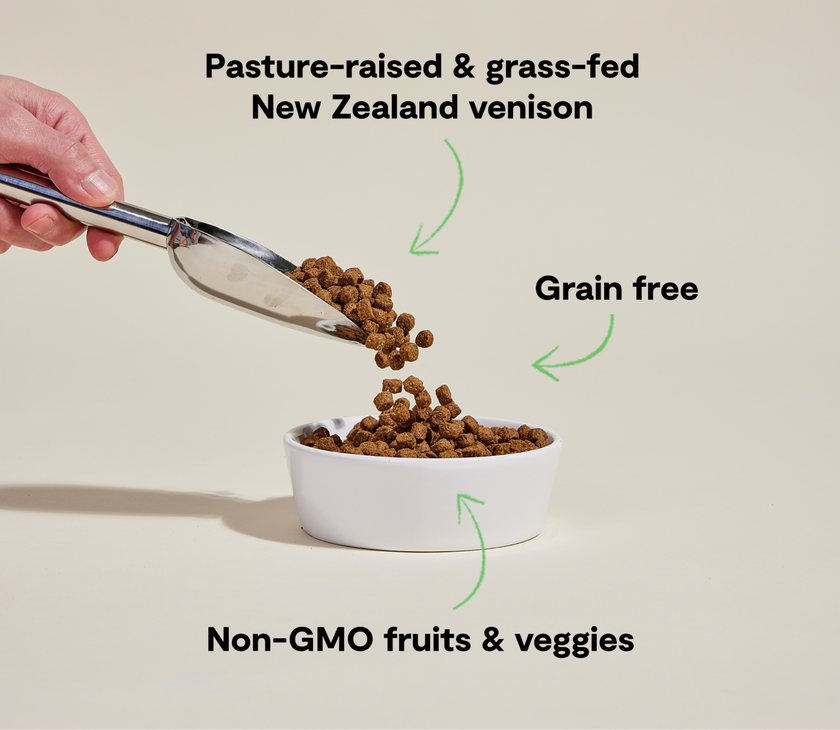 Open Farm New Zealand Venison Grain-Free Dry Dog Food (4lb)