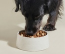 Open Farm GoodGut Grass-Fed Beef Recipe Gut Health Dog Food