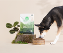 Open Farm Kind Earth - Premium Plant Kibble Recipe - 20 lbs
