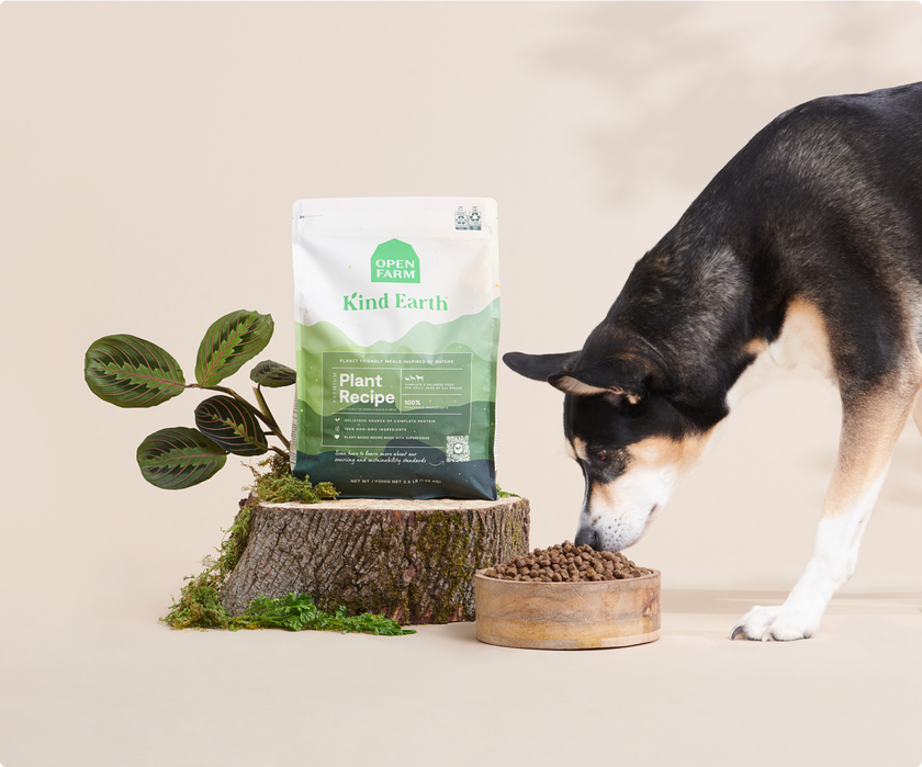 Open Farm Kind Earth - Premium Plant Kibble Recipe - 20 lbs