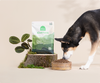 Open Farm Kind Earth - Premium Plant Kibble Recipe - 20 lbs