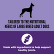 Orijen Large Breed Adult Recipe (25lb/11.4kg)