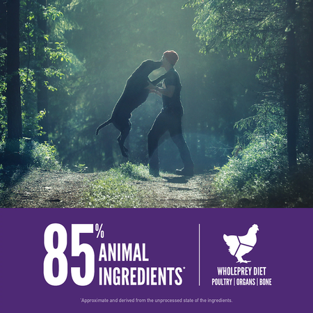 Orijen Large Breed Recipe Adult Dry Dog Food (25lb/11.4kg)