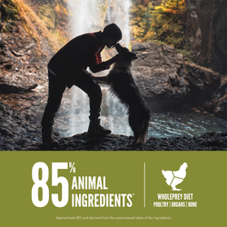 Orijen Senior Recipe Dry Dog Food (25lb/11.4kg)