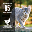 Orijen Original Cat Food