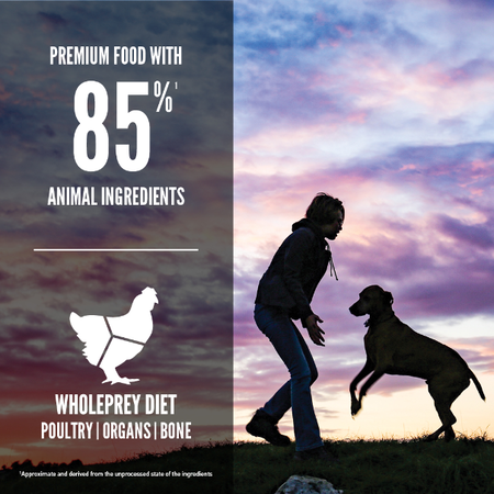 Orijen Puppy Large Dry Dog Food